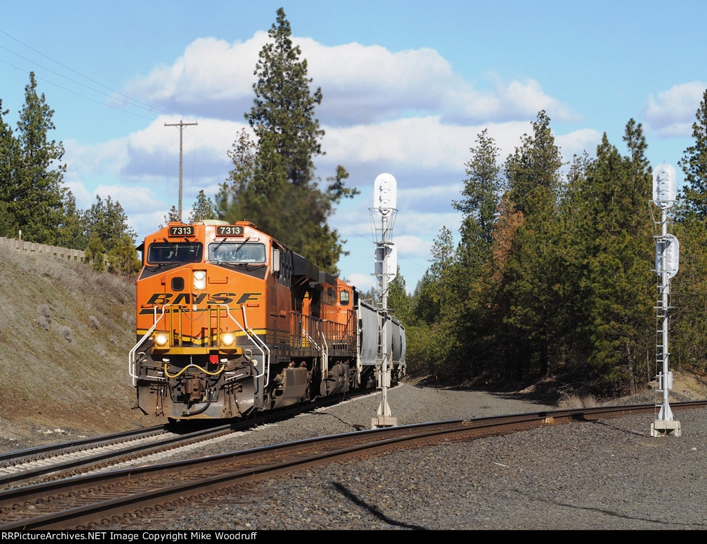 BNSF 7313